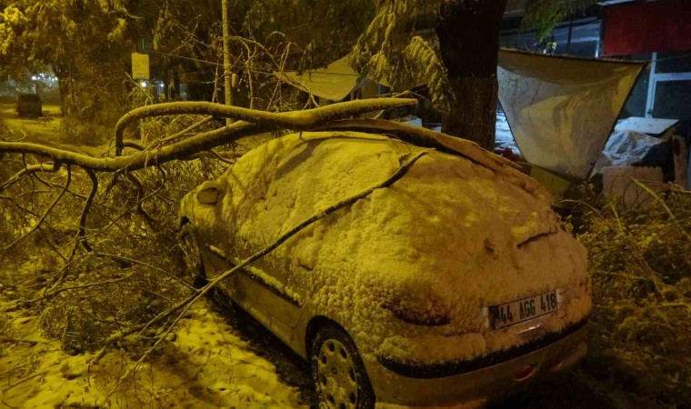 Malatyada kardan kırılan ağaç dalları araçların üzerine devrildi