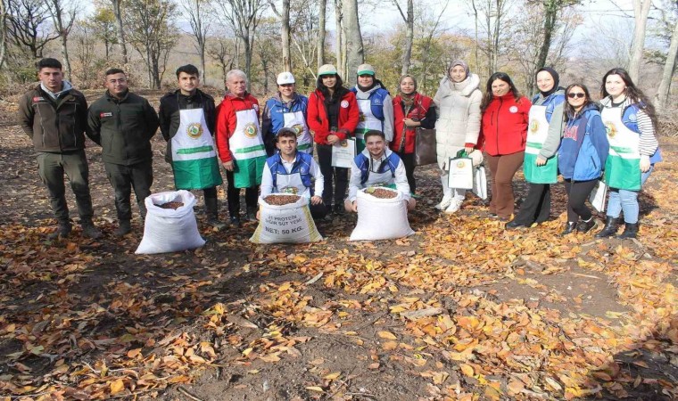 Manyasta 200 kilo kayın tohumu toprakla buluştu