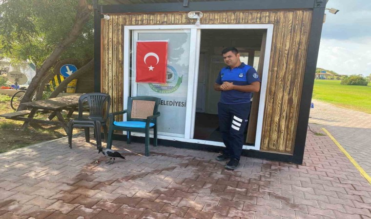 Maskot karganın firari karga olduğu ortaya çıktı