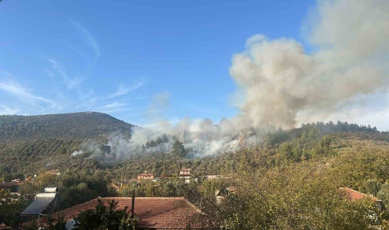 Menteşedeki yangına havadan müdahale başladı