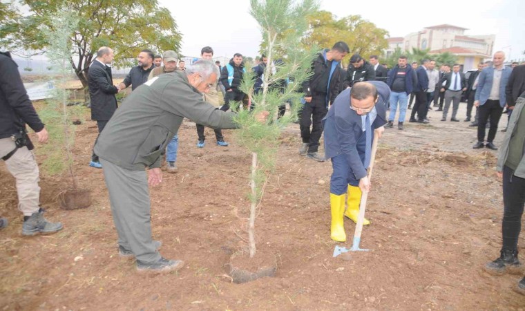 Milli Ağaçlandırma Gününde Cizrede fidanlar toprakla buluştu