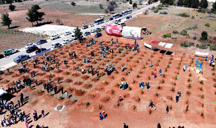 Muğlanın 11 ilçesinde, 11 Kasımda, saat 11.11de binlerce fidan toprakla buluşacak