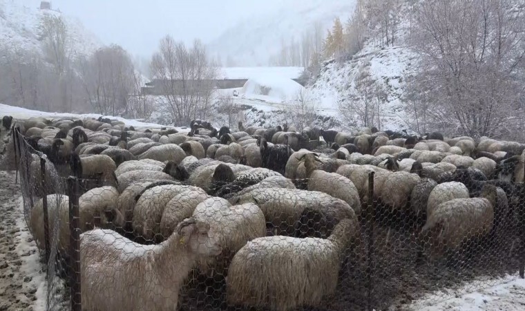 Muşta kar yağışı etkili oldu