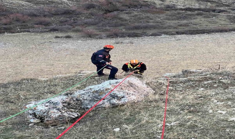 Muşta kayalıkta mahsur kalan keçiler kurtarıldı