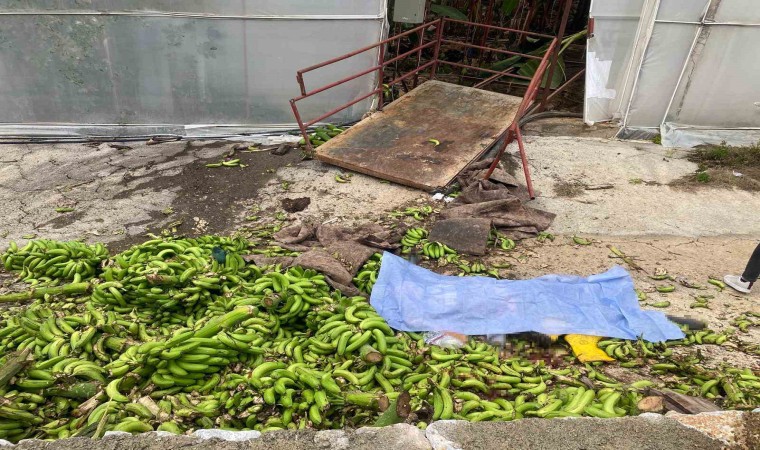 Muz serasında raylı sisteme ait kasanın halatı koptu, ortalık savaş alanına döndü: 2 ölü, 2 yaralı