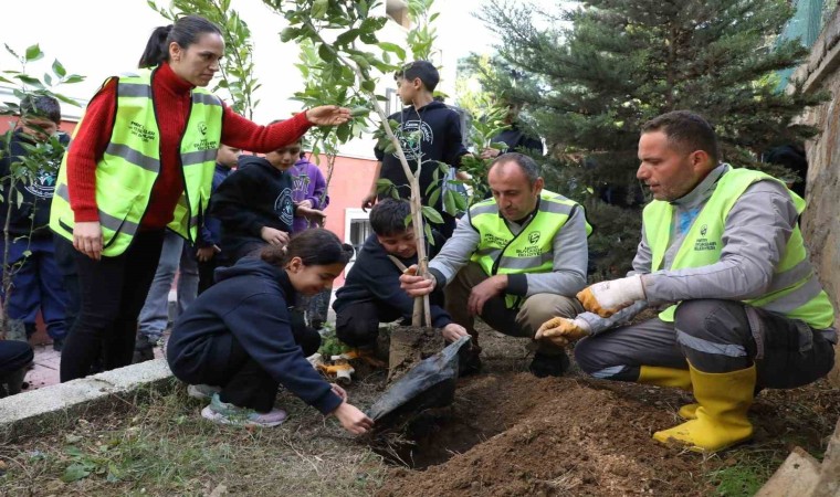 Öğrenciler, 5 bin narenciye fidanını toprakla buluşturdu