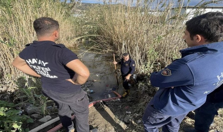 Samandağda yağmur suyu giderinde mahsur kalan yavru köpekler kurtarıldı