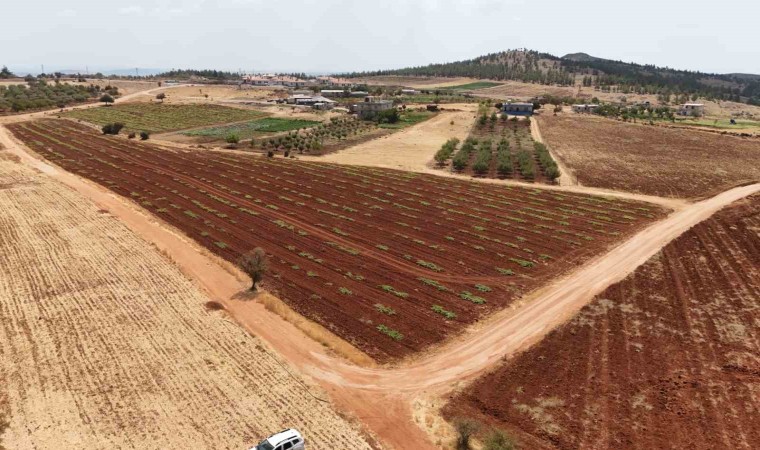 Şehitkamilden kırsal mahallelerde yol atağı