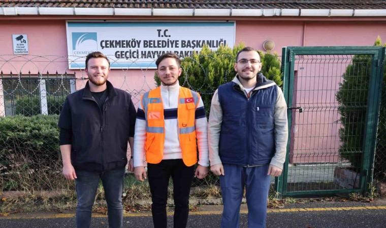 Şehre inen kurt belediye ekipleri tarafından yakalandı