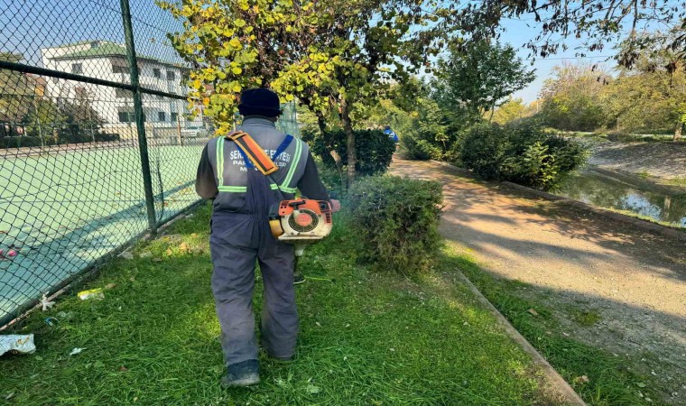 Serdivanda yeşil alan çalışması