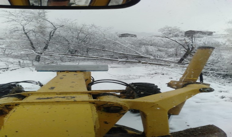 Sinopta fırtına ağaç devirdi, yol trafiğe kapandı