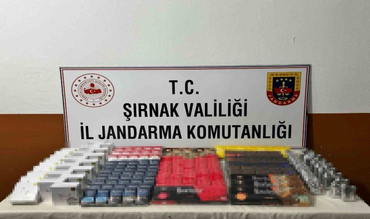 Şırnakta 11 şüpheliye işlem yapıldı