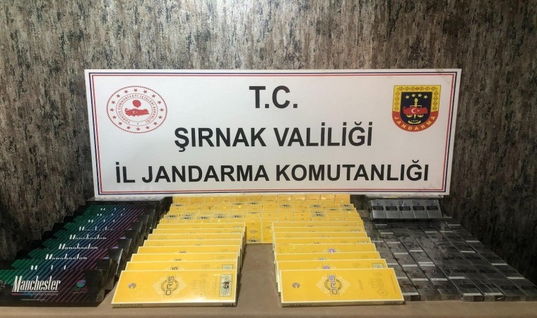 Şırnakta jandarma ekiplerinden kaçakçılık operasyonu