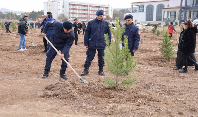 Sivasın ormanlık alanı 504 bin dekara yükseldi