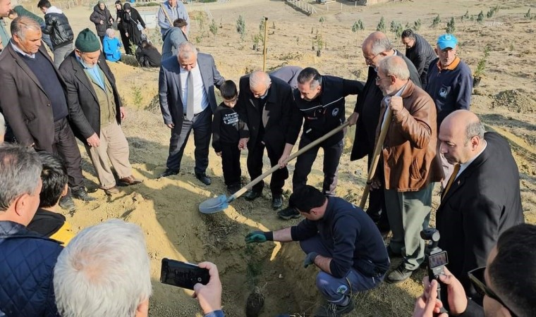 Sungurluda fidanlar toprakla buluştu