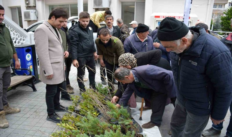 Türkelide vatandaşlara ücretsiz fidan dağıtıldı