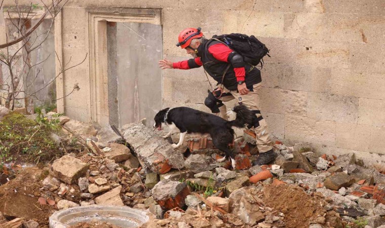 Uluslararası Arama Kurtarma Köpekleri Şampiyonası Çekmeköyde yapıldı