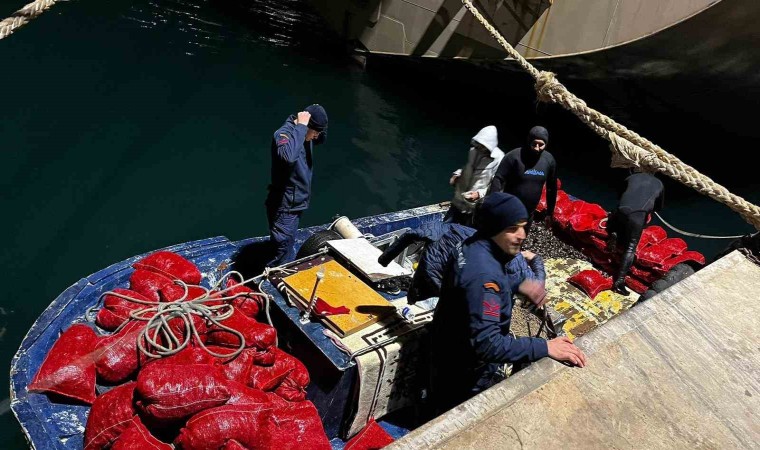 Yalovada 20 ton kaçak midye ele geçirildi