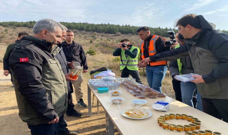 Yozgat Çamlık Bal Ormanında fidanlar toprakla buluştu