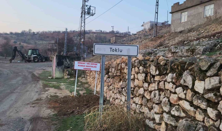 Adıyamanda çocuğa saldıran köpek kuduz çıktı, köy karantinaya alındı