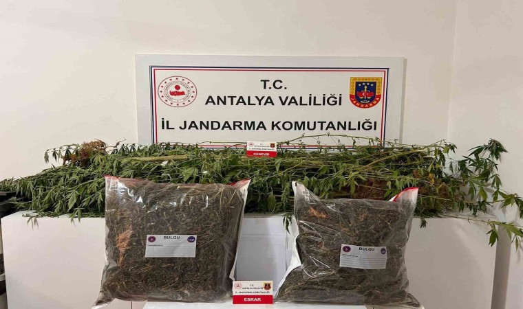 Alanyada narkotik operasyonları