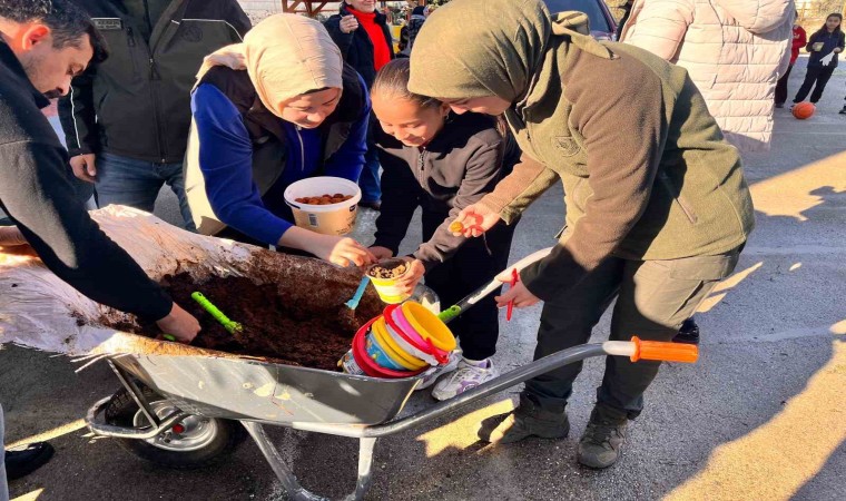 Anamurda ceviz tohumları toprakla buluşturuldu