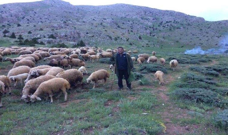 Aydında düzenlenen Yörük Çalıştayının sonuç raporu yayınlandı