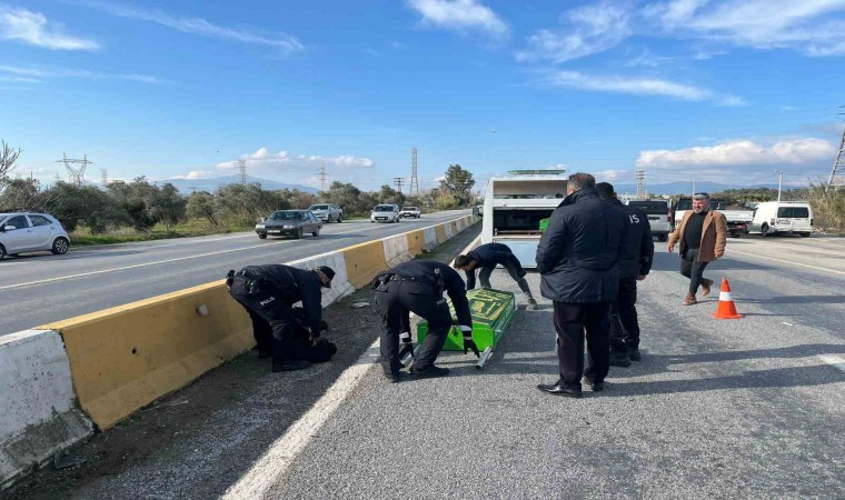 Aydında trafik kazası: 1 ölü