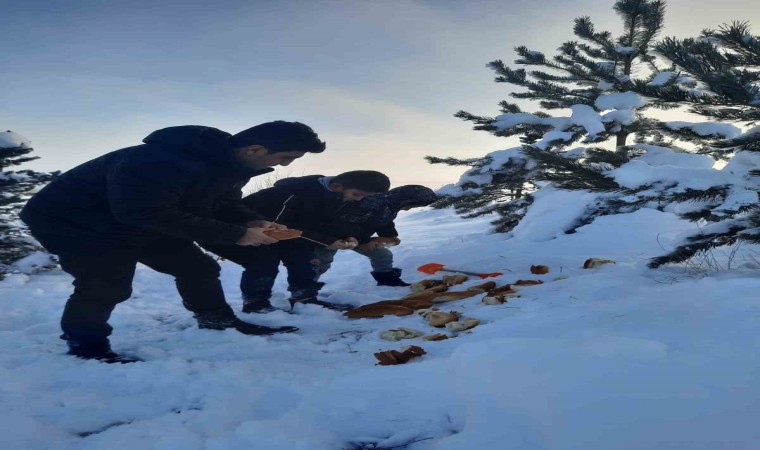 Bayburtta öğrenciler hayvanlar için doğaya yiyecek bıraktı