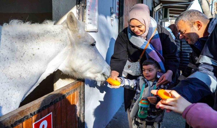 Beyoğlunun özel çocukları atlı terapide buluşuyor