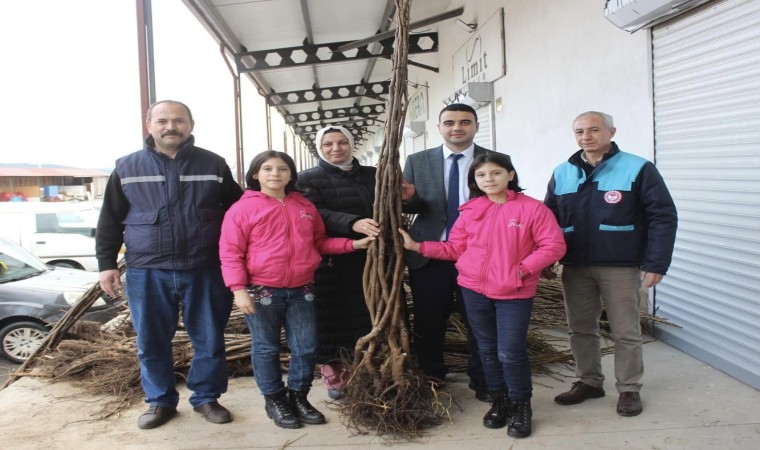 Bilecikte çiftçilere yüzde 50 destekli eviz ve badem fidanı