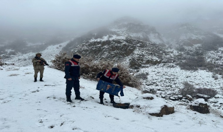 Bingölde jandarma ekipleri hayvanlar için doğaya yem bıraktı