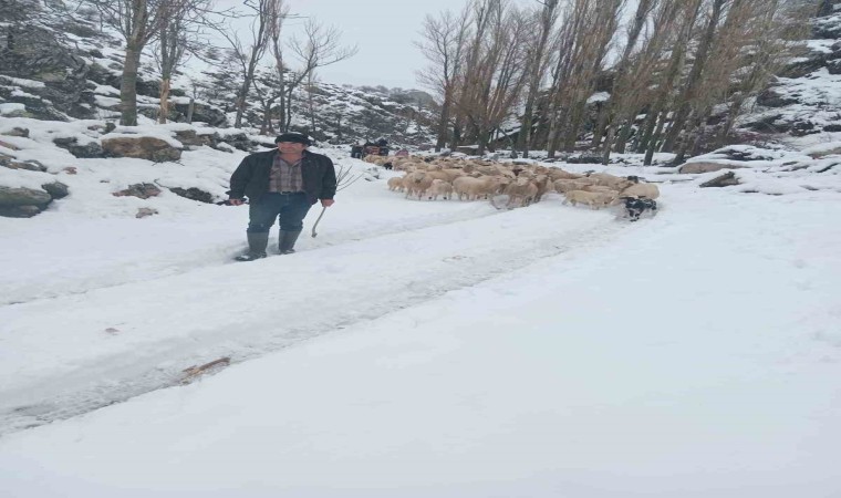 Burdurda sürüsüyle birlikte mahsur kalan çoban kurtarıldı