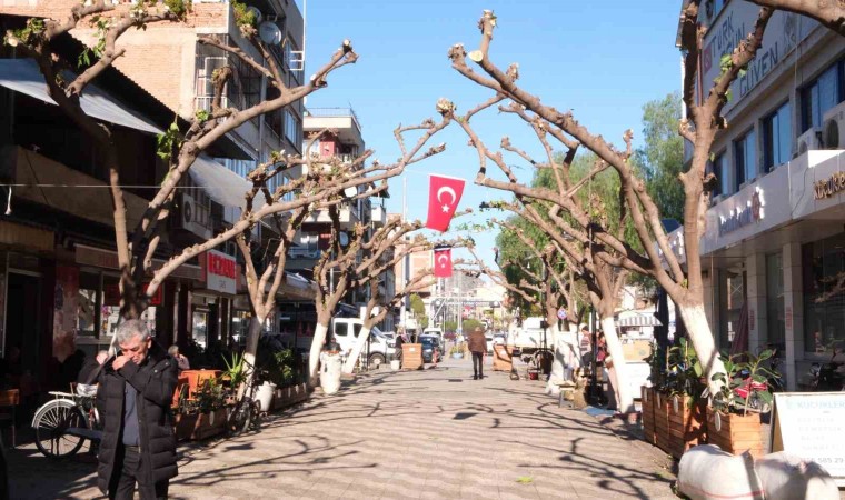 Büyükşehir İncirliovada ağaçları budadı, vatandaşlar rahat bir nefes aldı