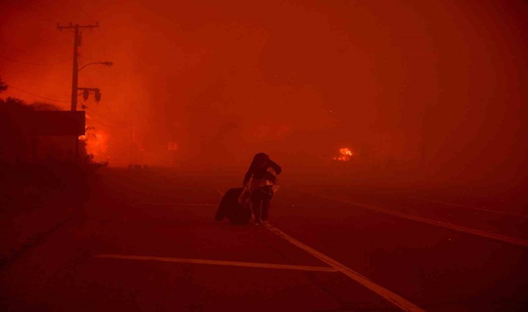 Californiada orman yangını: 3 bin 983 dönüm arazi küle döndü