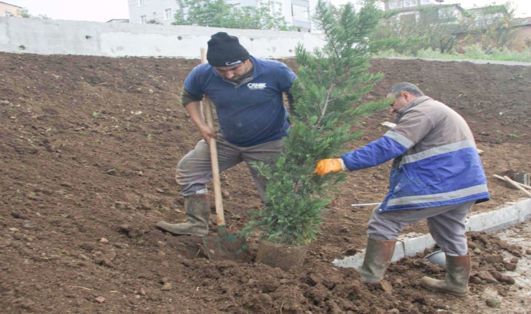 Canikte 33 bin 668 ağaç kesilmekten kurtarıldı