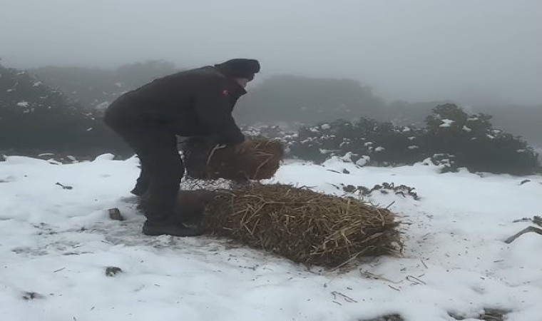 Dilek Yarımadası Milli Parkında doğal yaşam için yem bırakıldı