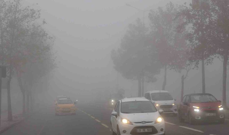 Diyarbakırda hava ve kara ulaşımına sis engeli