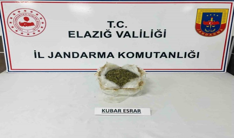 Elazığda uyuşturucu ele geçirildi: 1 gözaltı