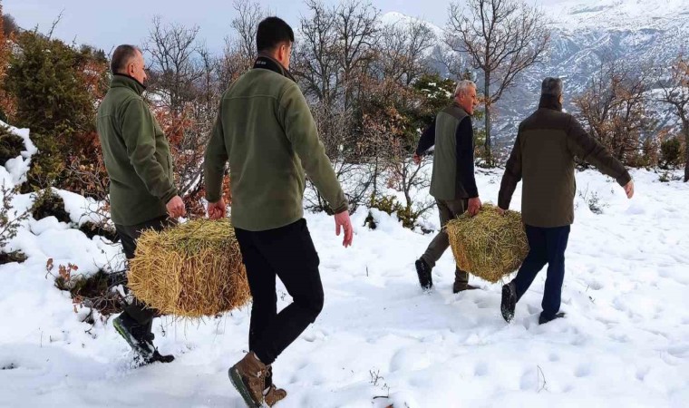 Elazığda yaban hayvanları için doğaya yem bırakıldı