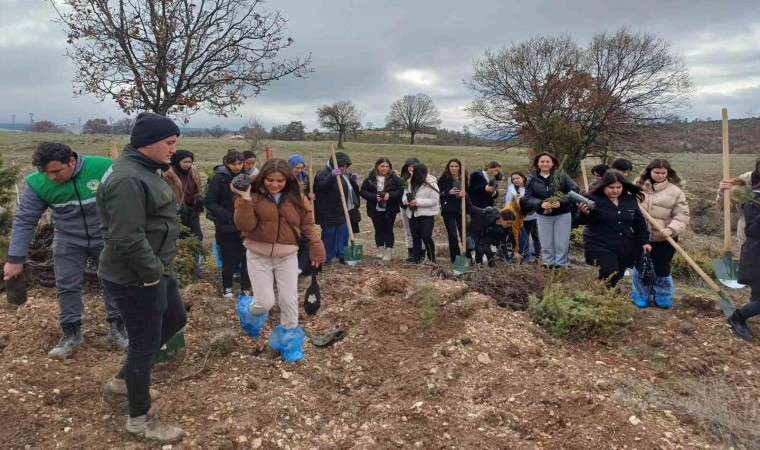 Emette fidan dikim etkinliği