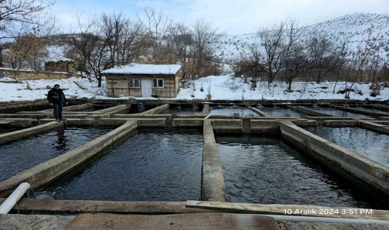 Erzincanda tesis ve kuluçkahane denetimler sürüyor