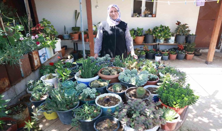 Evinin her tarafında çiçek eken kadın, 500ten fazla farklı çiçek yetiştirmeyi başardı