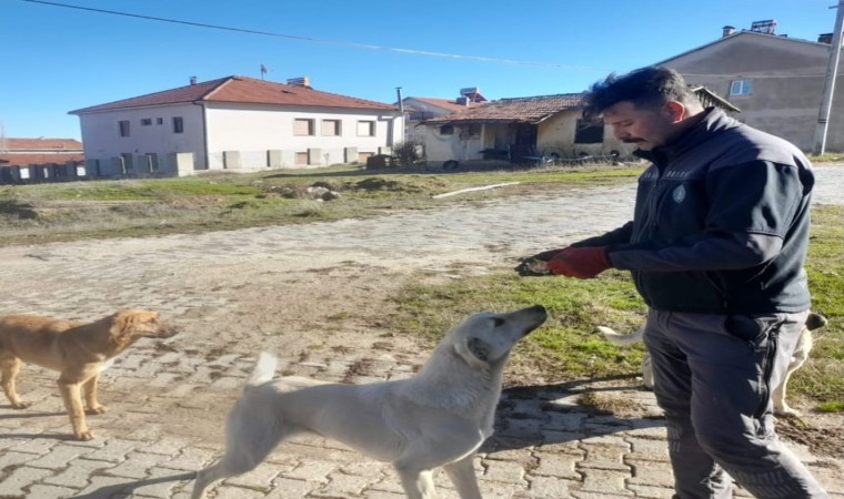 Gedizde Özel İdare çalışanlarından örnek davranış