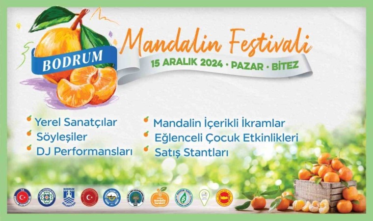 Geleneksel Bodrum Mandalin Festivali başlıyor