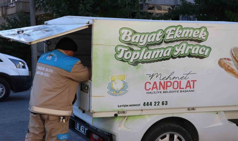 Haliliye Belediyesi ile 11 ton ekmek israfı önlendi