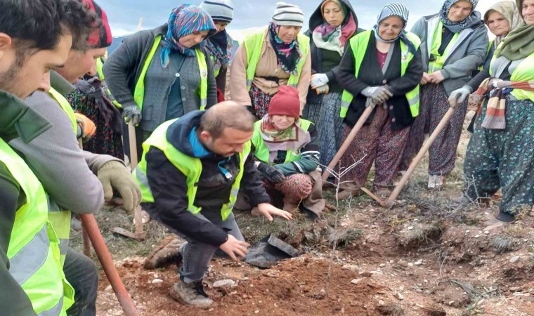 Hisarcıkta 43 bin 300 fidan toprakla buluştu