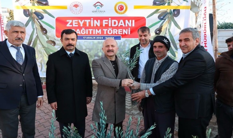 Kahtada çiftçilere 70 bin zeytin fidanı dağıtıldı