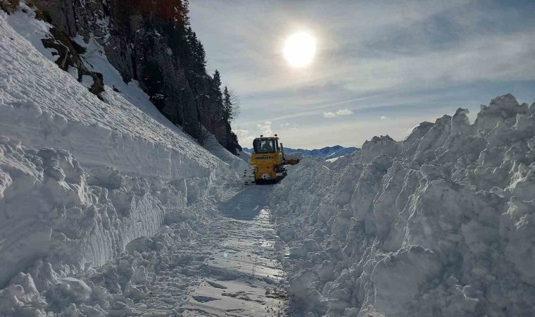 Kar nedeniyle ulaşıma kapanan Artvinin Macahel Geçidinde yol açma çalışmaları 10 gündür devam ediyor