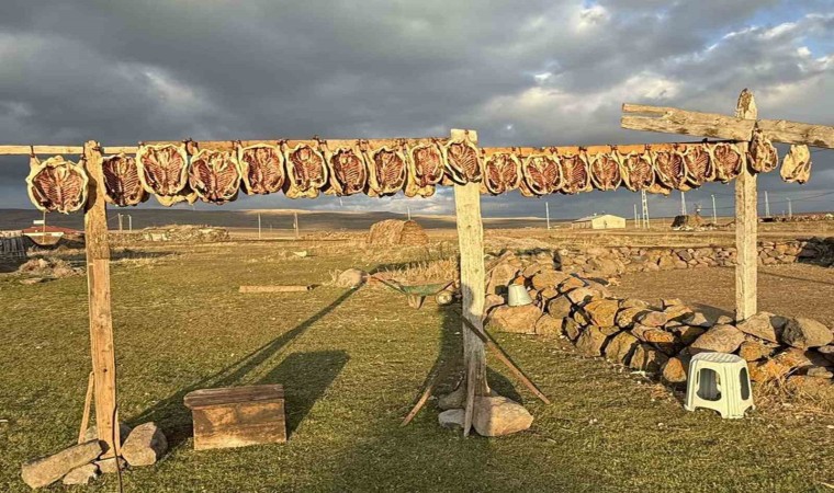 Karsta kazlar tellerde kurutuluyor